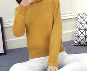 Knitted Turtleneck Sweater