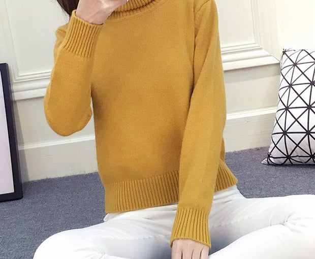 Knitted Turtleneck Sweater