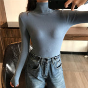 Women's turtleneck sweater