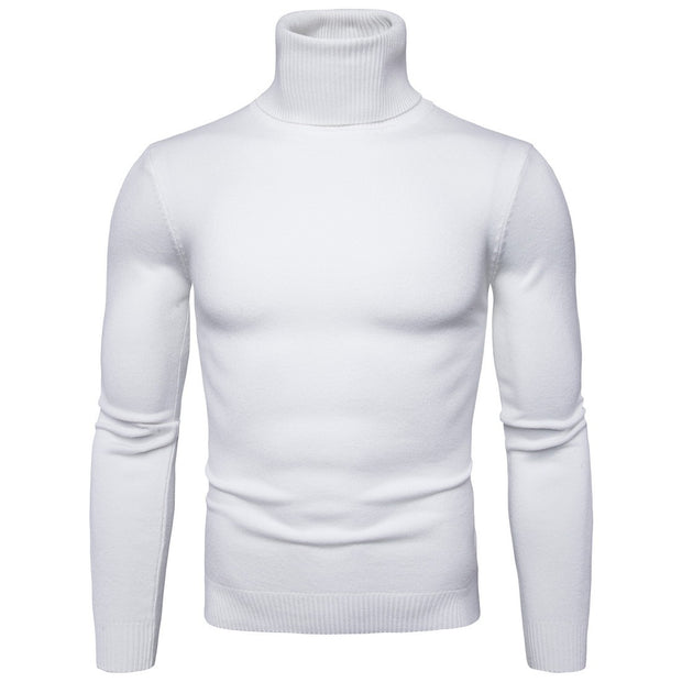 Turtleneck men's sweater