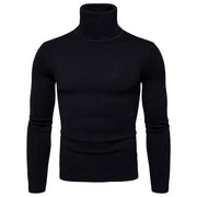 Turtleneck men's sweater