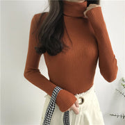 Women's turtleneck sweater