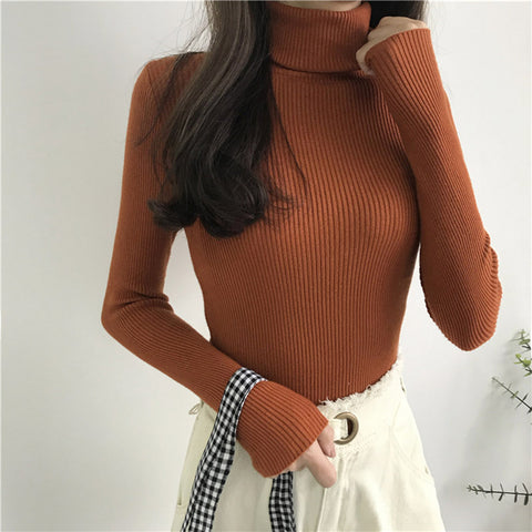 Women's turtleneck sweater