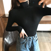 Women's turtleneck sweater