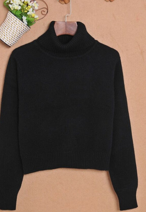 Knitted Turtleneck Sweater