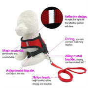 Pet Car Seat Belt Pet Leash