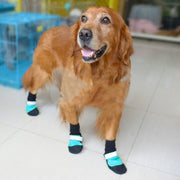 Super wear-resistant oxford pet shoes